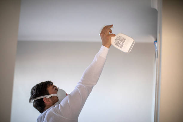 Best Commercial Mold Remediation in Castle Hills, TX